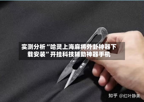 实测分析“哈灵上海麻将外卦神器下载安装”开挂科技辅助神器手机-第2张图片