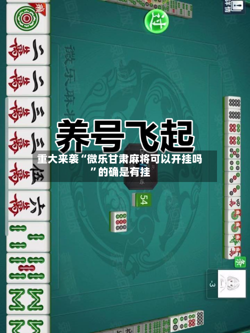 重大来袭“微乐甘肃麻将可以开挂吗	”的确是有挂-第2张图片