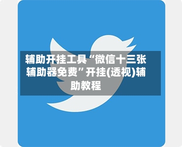 辅助开挂工具“微信十三张辅助器免费”开挂(透视)辅助教程-第2张图片