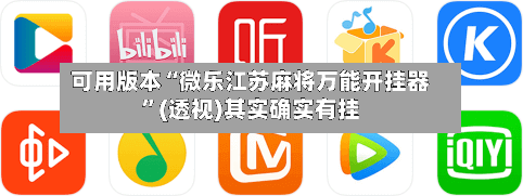 可用版本“微乐江苏麻将万能开挂器”(透视)其实确实有挂-第3张图片