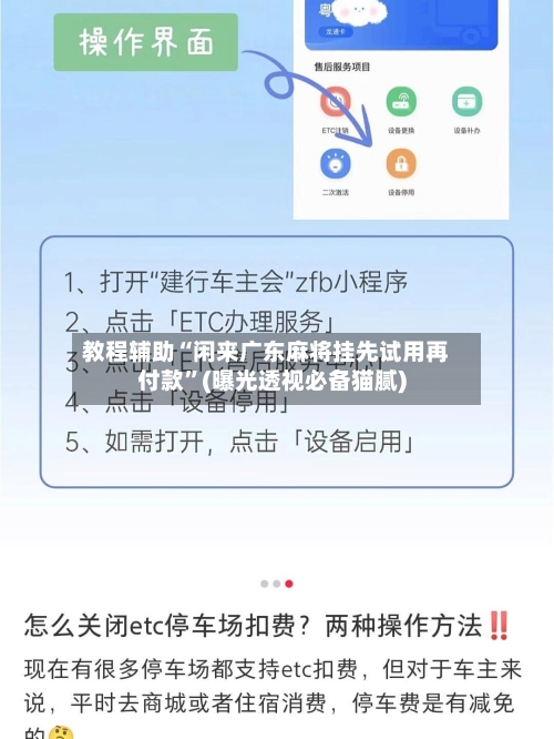 教程辅助“闲来广东麻将挂先试用再付款”(曝光透视必备猫腻)-第2张图片