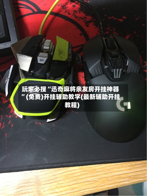 玩家必搜“迅奇麻将亲友房开挂神器”(免费)开挂辅助教学(最新辅助开挂教程)-第3张图片