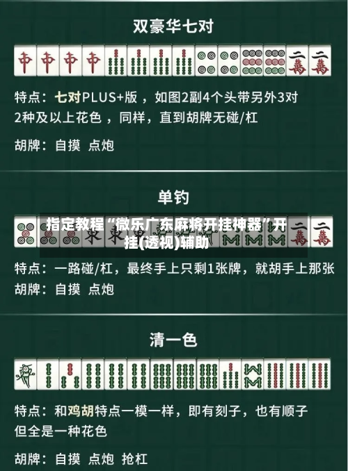 指定教程“微乐广东麻将开挂神器”开挂(透视)辅助-第2张图片