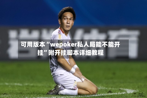 可用版本“wepoker私人局能不能开挂”附开挂脚本详细教程-第2张图片