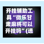 开挂辅助工具“微乐甘肃麻将可以开挂吗”(透视)开挂辅助脚本+详细开挂安装教程