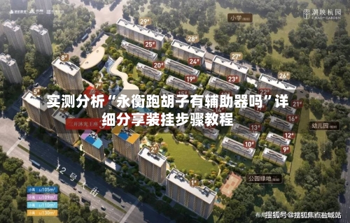 实测分析“永衡跑胡子有辅助器吗”详细分享装挂步骤教程