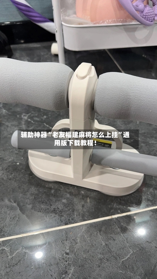 辅助神器“老友福建麻将怎么上挂”通用版下载教程！