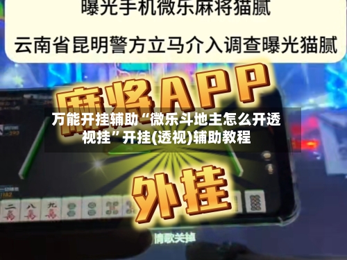 万能开挂辅助“微乐斗地主怎么开透视挂”开挂(透视)辅助教程-第3张图片
