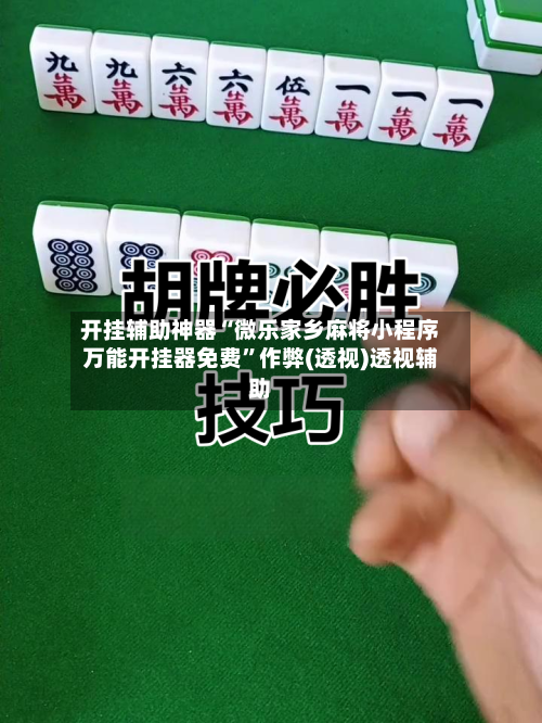 开挂辅助神器“微乐家乡麻将小程序万能开挂器免费”作弊(透视)透视辅助-第3张图片