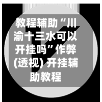 教程辅助“川渝十三水可以开挂吗”作弊(透视) 开挂辅助教程