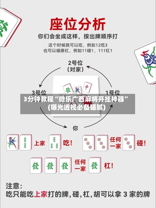 3分钟教程“微乐广西麻将开挂神器”(曝光透视必备猫腻)-第3张图片