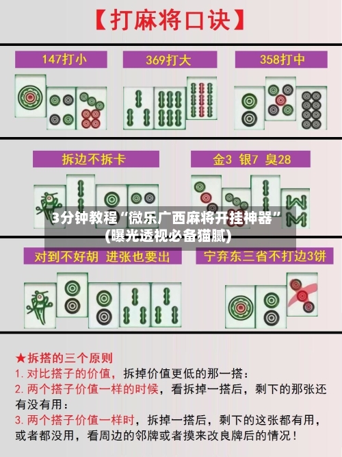 3分钟教程“微乐广西麻将开挂神器”(曝光透视必备猫腻)-第2张图片