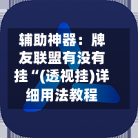 辅助神器:牌友联盟有没有挂“(透视挂)详细用法教程-第2张图片