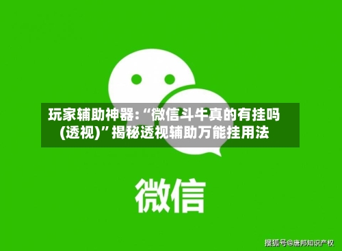 玩家辅助神器:“微信斗牛真的有挂吗(透视)”揭秘透视辅助万能挂用法-第2张图片