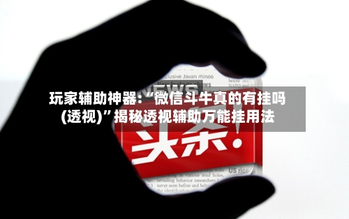 玩家辅助神器:“微信斗牛真的有挂吗(透视)”揭秘透视辅助万能挂用法