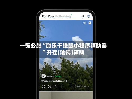 一键必胜“微乐干瞪眼小程序辅助器”开挂(透视)辅助-第2张图片