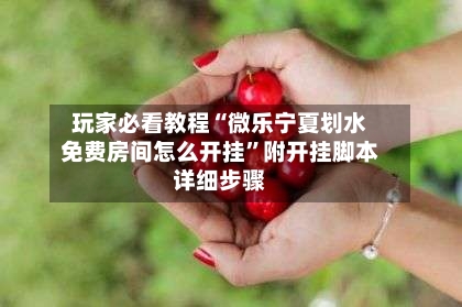 玩家必看教程“微乐宁夏划水免费房间怎么开挂”附开挂脚本详细步骤