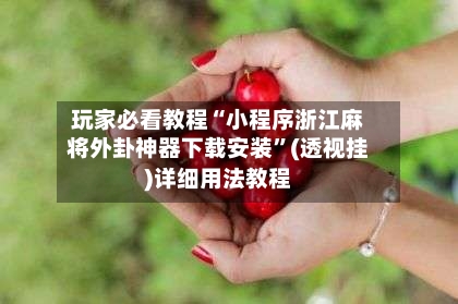 玩家必看教程“小程序浙江麻将外卦神器下载安装	”(透视挂)详细用法教程-第2张图片