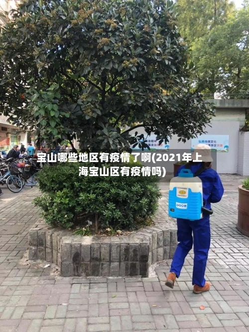 宝山哪些地区有疫情了啊(2021年上海宝山区有疫情吗)-第2张图片