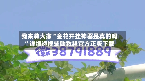 我来教大家“金花开挂神器是真的吗”详细透视辅助教程官方正版下载-第3张图片