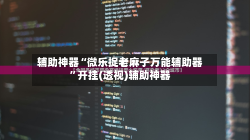辅助神器“微乐捉老麻子万能辅助器”开挂(透视)辅助神器-第3张图片
