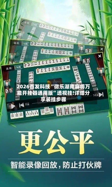 2026首发科技“微乐湖南麻将万能开挂器通用版	”透视挂!详细分享装挂步骤-第2张图片