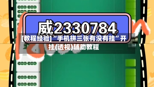 [教程经验]“手机拼三张有没有挂	”开挂(透视)辅助教程-第2张图片