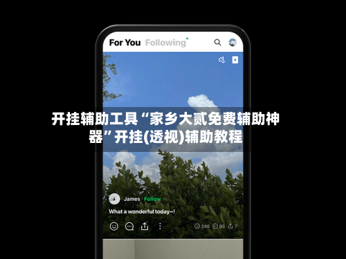 开挂辅助工具“家乡大贰免费辅助神器”开挂(透视)辅助教程