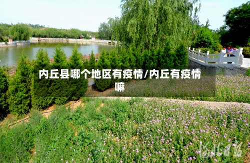 内丘县哪个地区有疫情/内丘有疫情嘛-第2张图片