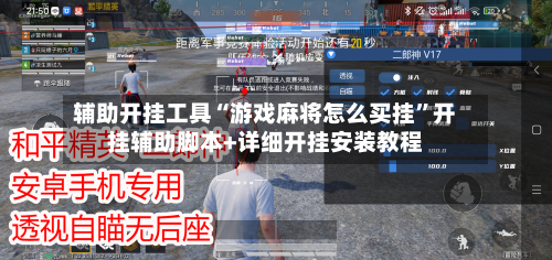 辅助开挂工具“游戏麻将怎么买挂”开挂辅助脚本+详细开挂安装教程-第3张图片