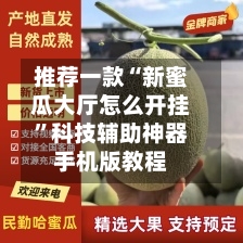 推荐一款“新蜜瓜大厅怎么开挂”科技辅助神器手机版教程-第2张图片