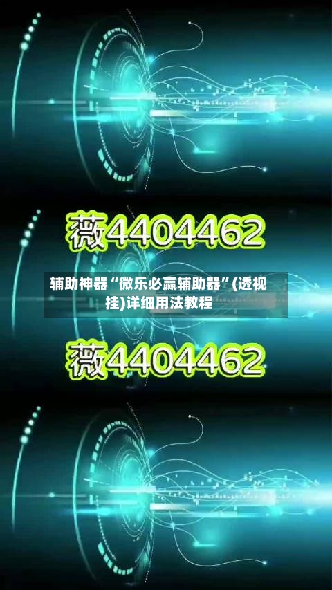 辅助神器“微乐必赢辅助器”(透视挂)详细用法教程-第2张图片