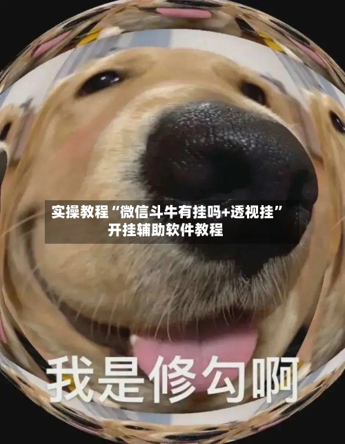 实操教程“微信斗牛有挂吗+透视挂	”开挂辅助软件教程-第2张图片
