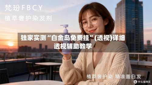独家实测“白金岛免费挂”(透视)详细透视辅助教学-第3张图片