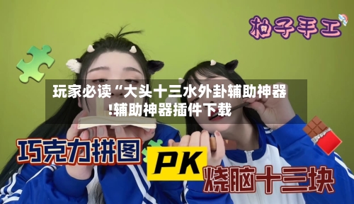玩家必读“大头十三水外卦辅助神器!辅助神器插件下载-第2张图片