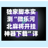 独家脚本实测“微乐河北麻将开挂神器下载	”详细辅助软件教程-第2张图片