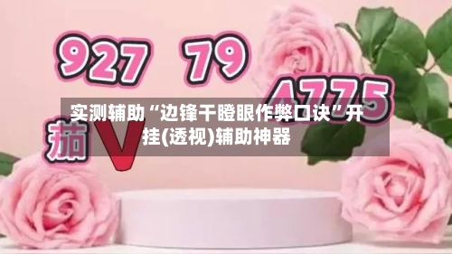 实测辅助“边锋干瞪眼作弊口诀”开挂(透视)辅助神器-第2张图片