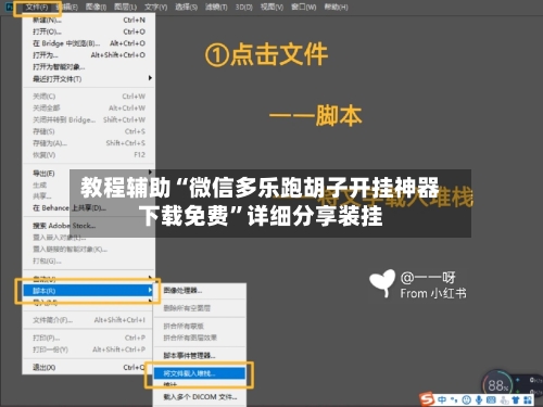 教程辅助“微信多乐跑胡子开挂神器下载免费”详细分享装挂-第3张图片