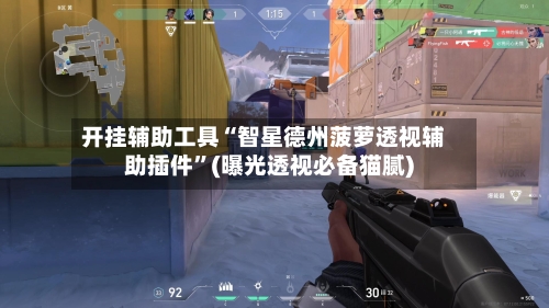 开挂辅助工具“智星德州菠萝透视辅助插件”(曝光透视必备猫腻)-第3张图片