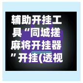 辅助开挂工具“同城搓麻将开挂器”开挂(透视)辅助-第2张图片