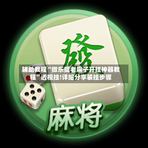 辅助教程“微乐捉老麻子开挂神器教程”透视挂!详细分享装挂步骤-第2张图片