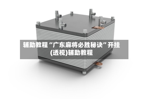 辅助教程“广东麻将必胜秘诀”开挂(透视)辅助教程-第3张图片