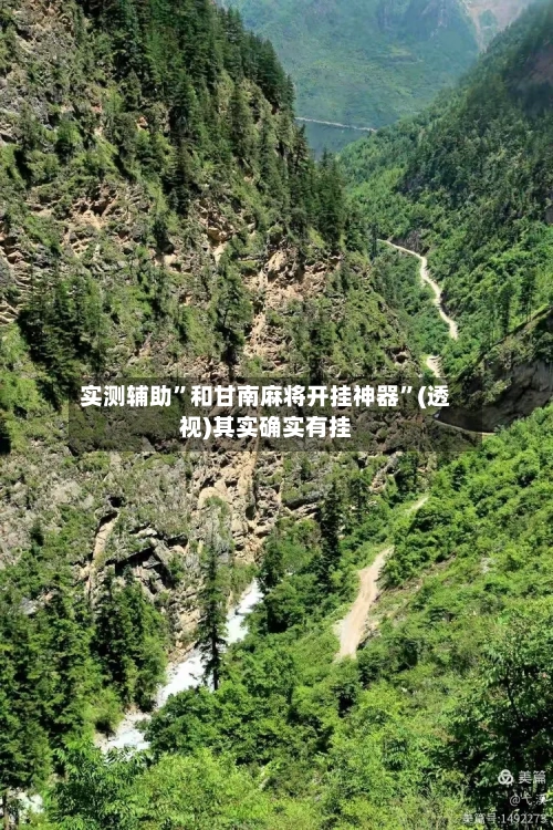 实测辅助”和甘南麻将开挂神器”(透视)其实确实有挂-第3张图片