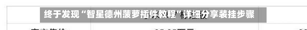 终于发现“智星德州菠萝插件教程	”详细分享装挂步骤-第2张图片