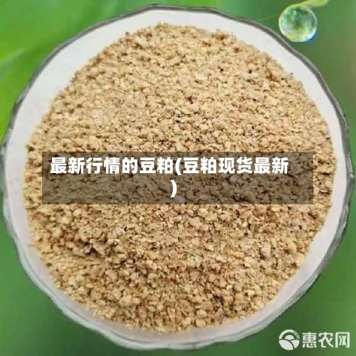 最新行情的豆粕(豆粕现货最新)