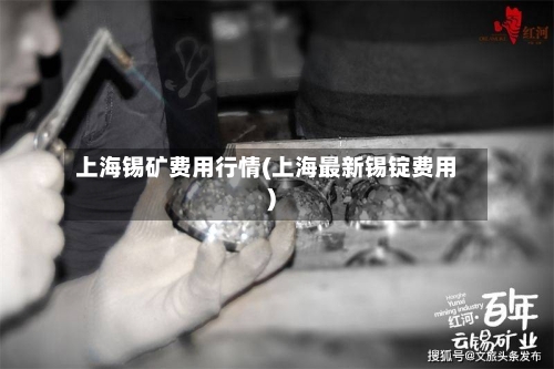 上海锡矿费用行情(上海最新锡锭费用)-第3张图片