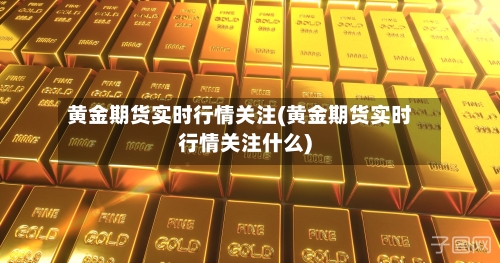 黄金期货实时行情关注(黄金期货实时行情关注什么)-第2张图片
