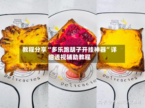 教程分享“多乐跑胡子开挂神器	”详细透视辅助教程-第2张图片