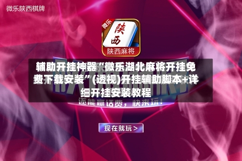 辅助开挂神器“微乐湖北麻将开挂免费下载安装”(透视)开挂辅助脚本+详细开挂安装教程-第3张图片