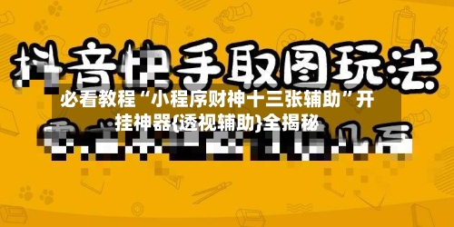 必看教程“小程序财神十三张辅助”开挂神器{透视辅助}全揭秘-第2张图片
